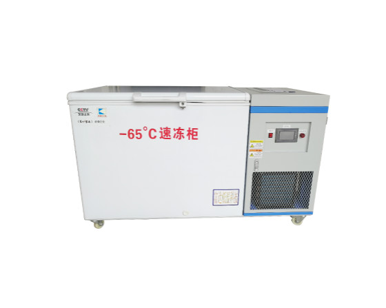 低溫冰箱-BKDW-318L-65度