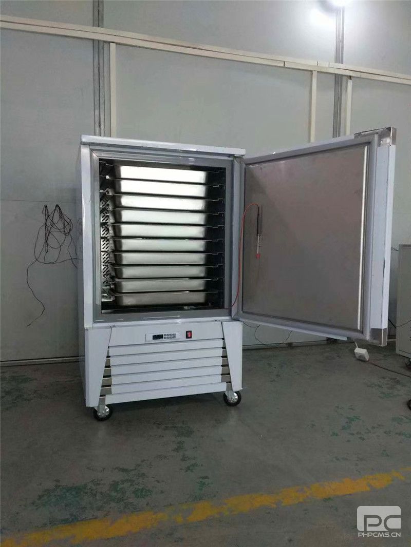 宣城水果速凍柜廠家